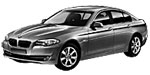 BMW F10 P1E57 Fault Code
